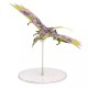 Boneco Avatar World Of Pandora Mountain Banshee Ikeyni´s Articulado Mcfarlane Toys