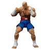 Boneco Articulável Ultra Street Fighter 2 The Final Challengers Sagat Action Figure Jada