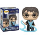 Boneco Harry Potter with Patronus Special Edition Pop Funko 205