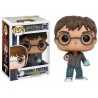 Boneco Harry Potter Prophecy Pop Funko 32