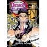 Mangá Demon Slayer Kimetsu No Yaiba Volume 15